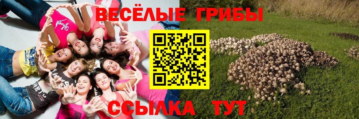 Псилоцибиновые грибы Magic Shrooms Коркино