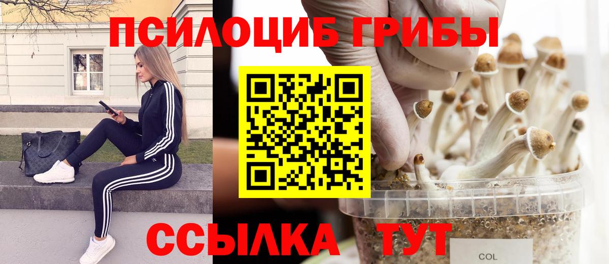 Галлюциногенные грибы ЛСД  Вход с VPN  Коркино  Галлюциногенные грибы GOLDEN TEACHER 
