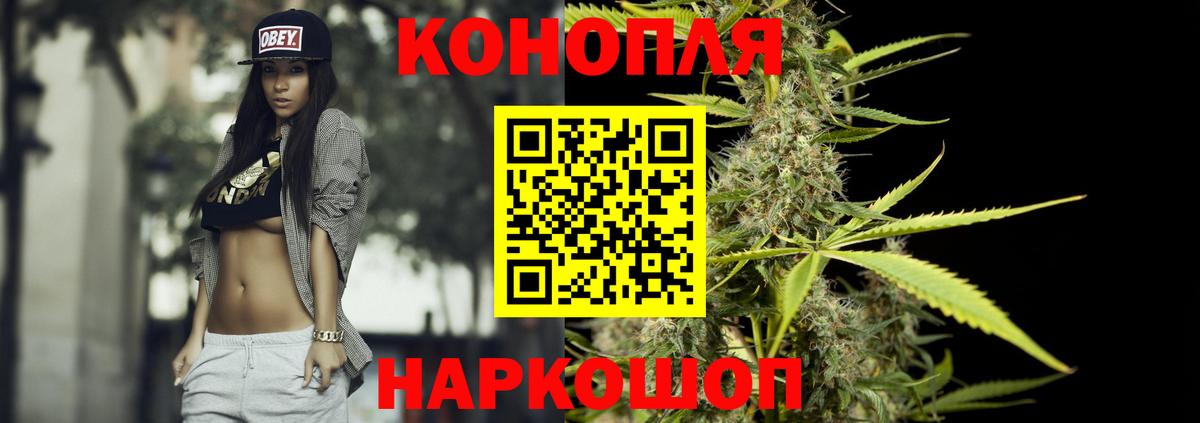 Конопля сатива Коркино